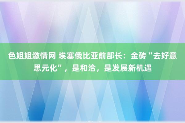 色姐姐激情网 埃塞俄比亚前部长：金砖“去好意思元化”，是和洽，是发展新机遇