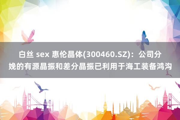 白丝 sex 惠伦晶体(300460.SZ)：公司分娩的有源晶振和差分晶振已利用于海工装备鸿沟