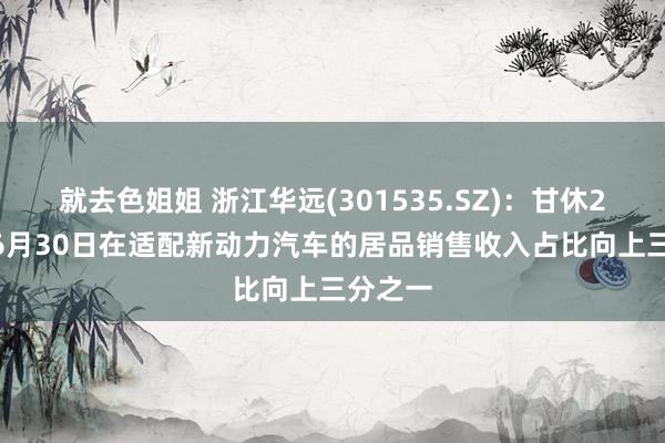 就去色姐姐 浙江华远(301535.SZ)：甘休2024年6月30日在适配新动力汽车的居品销售收入占比向上三分之一