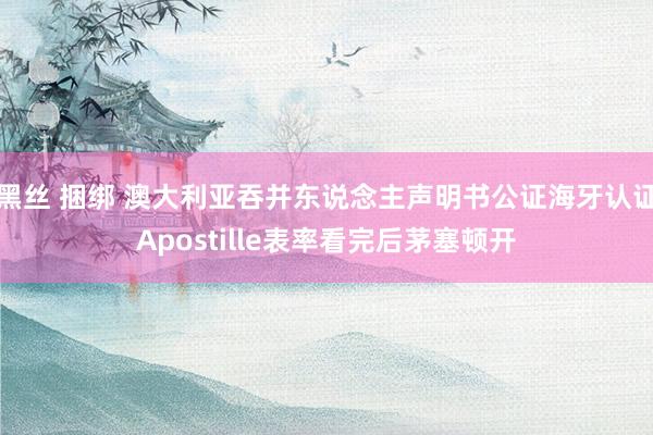 黑丝 捆绑 澳大利亚吞并东说念主声明书公证海牙认证Apostille表率看完后茅塞顿开