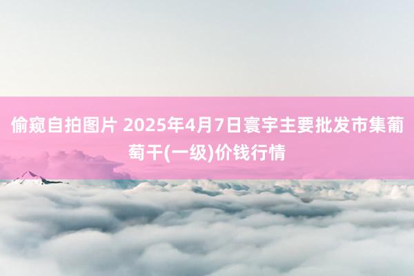 偷窥自拍图片 2025年4月7日寰宇主要批发市集葡萄干(一级)价钱行情
