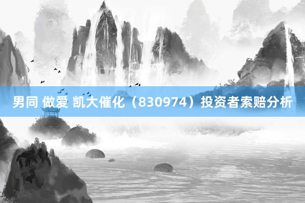 男同 做爱 凯大催化（830974）投资者索赔分析