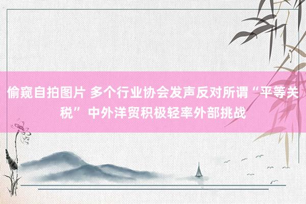 偷窥自拍图片 多个行业协会发声反对所谓“平等关税” 中外洋贸积极轻率外部挑战