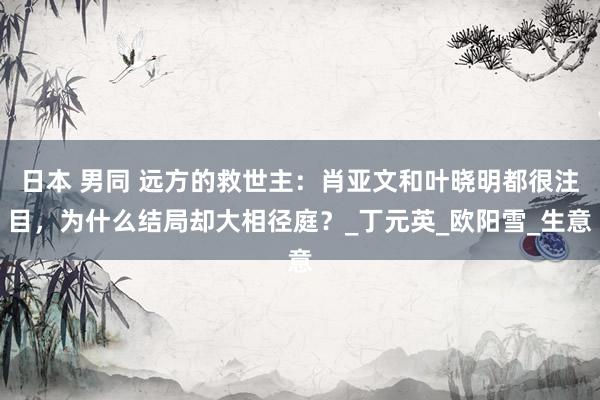 日本 男同 远方的救世主：肖亚文和叶晓明都很注目，为什么结局却大相径庭？_丁元英_欧阳雪_生意