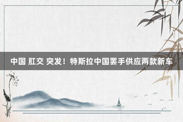中国 肛交 突发！特斯拉中国罢手供应两款新车