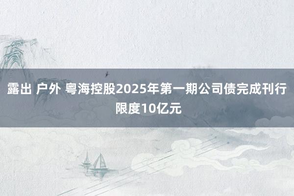 露出 户外 粤海控股2025年第一期公司债完成刊行 限度10亿元
