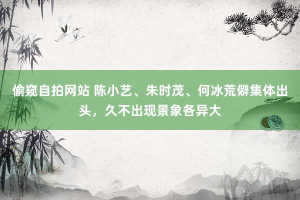 偷窥自拍网站 陈小艺、朱时茂、何冰荒僻集体出头，久不出现景象各异大