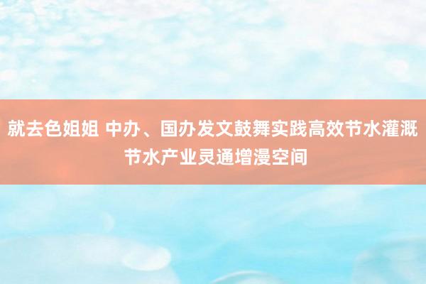 就去色姐姐 中办、国办发文鼓舞实践高效节水灌溉 节水产业灵通增漫空间