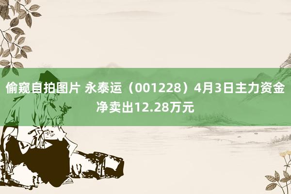 偷窥自拍图片 永泰运（001228）4月3日主力资金净卖出12.28万元