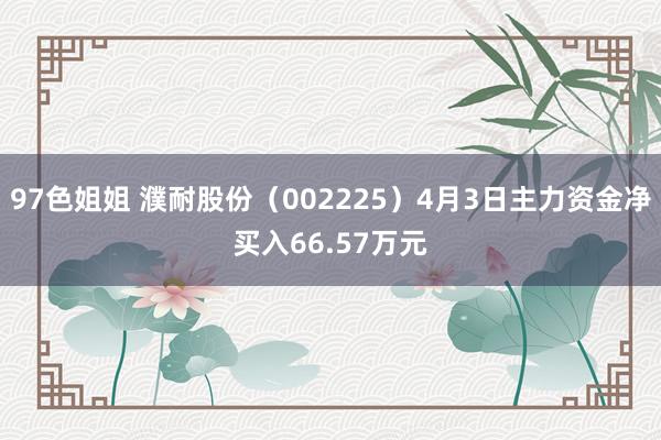97色姐姐 濮耐股份（002225）4月3日主力资金净买入66.57万元