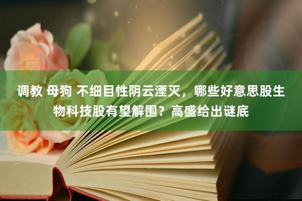 调教 母狗 不细目性阴云湮灭，哪些好意思股生物科技股有望解围？高盛给出谜底