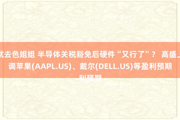 就去色姐姐 半导体关税豁免后硬件“又行了”？ 高盛上调苹果(AAPL.US)、戴尔(DELL.US)等盈利预期