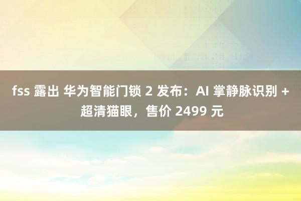 fss 露出 华为智能门锁 2 发布：AI 掌静脉识别 + 超清猫眼，售价 2499 元