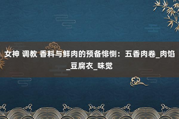 女神 调教 香料与鲜肉的预备悱恻：五香肉卷_肉馅_豆腐衣_味觉