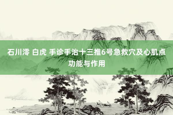 石川澪 白虎 手诊手治十三推6号急救穴及心肌点功能与作用