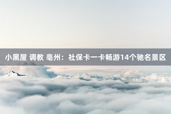 小黑屋 调教 亳州：社保卡一卡畅游14个驰名景区