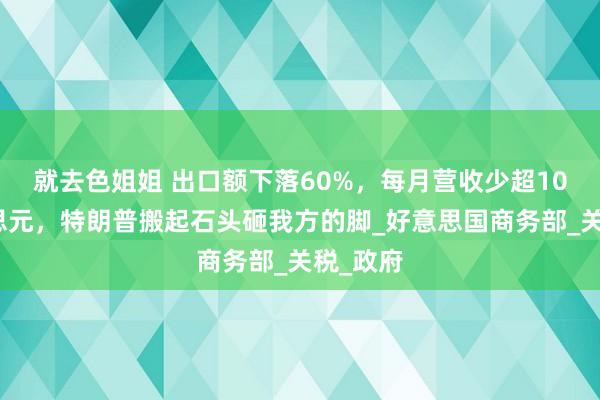 就去色姐姐 出口额下落60%，每月营收少超10亿好意思元，特朗普搬起石头砸我方的脚_好意思国商务部_关税_政府