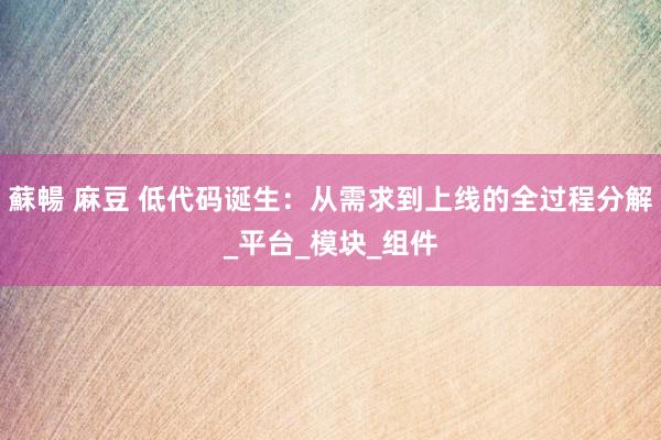 蘇暢 麻豆 低代码诞生：从需求到上线的全过程分解_平台_模块_组件