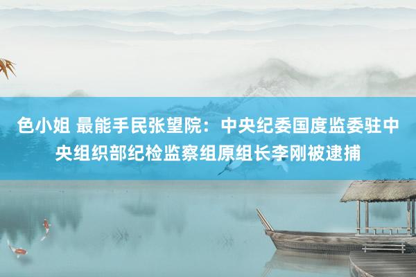 色小姐 最能手民张望院：中央纪委国度监委驻中央组织部纪检监察组原组长李刚被逮捕