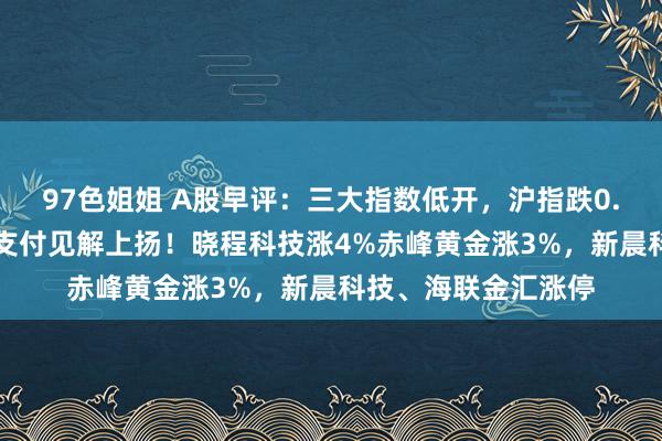 97色姐姐 A股早评：三大指数低开，沪指跌0.07%，黄金、跨境支付见解上扬！晓程科技涨4%赤峰黄金涨3%，新晨科技、海联金汇涨停