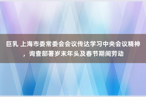 巨乳 上海市委常委会会议传达学习中央会议精神，询查部署岁末年头及春节期间劳动