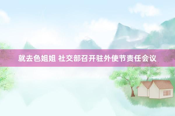 就去色姐姐 社交部召开驻外使节责任会议