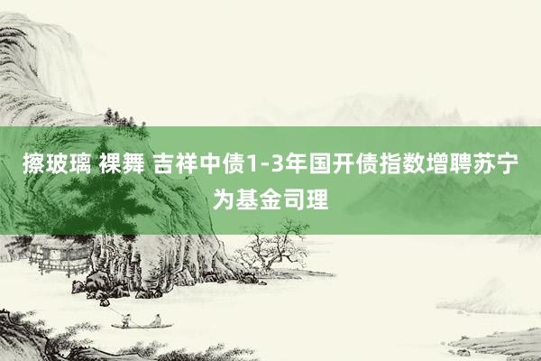 擦玻璃 裸舞 吉祥中债1-3年国开债指数增聘苏宁为基金司理