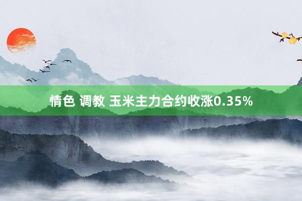 情色 调教 玉米主力合约收涨0.35%