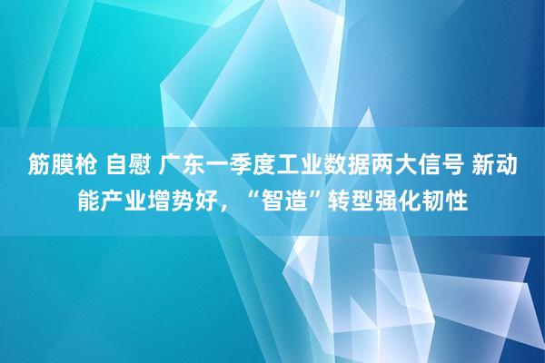 筋膜枪 自慰 广东一季度工业数据两大信号 新动能产业增势好，“智造”转型强化韧性