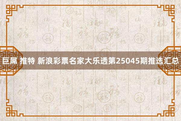 巨屌 推特 新浪彩票名家大乐透第25045期推选汇总