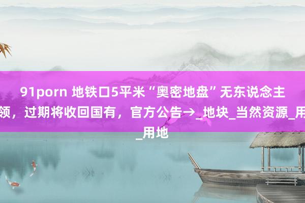 91porn 地铁口5平米“奥密地盘”无东说念主认领，过期将收回国有，官方公告→_地块_当然资源_用地