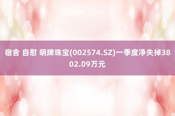 宿舍 自慰 明牌珠宝(002574.SZ)一季度净失掉3802.09万元