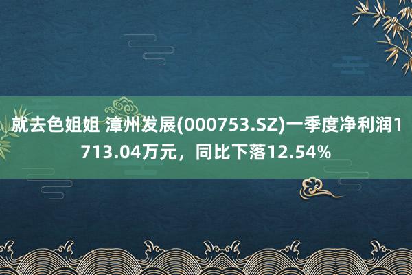 就去色姐姐 漳州发展(000753.SZ)一季度净利润1713.04万元，同比下落12.54%